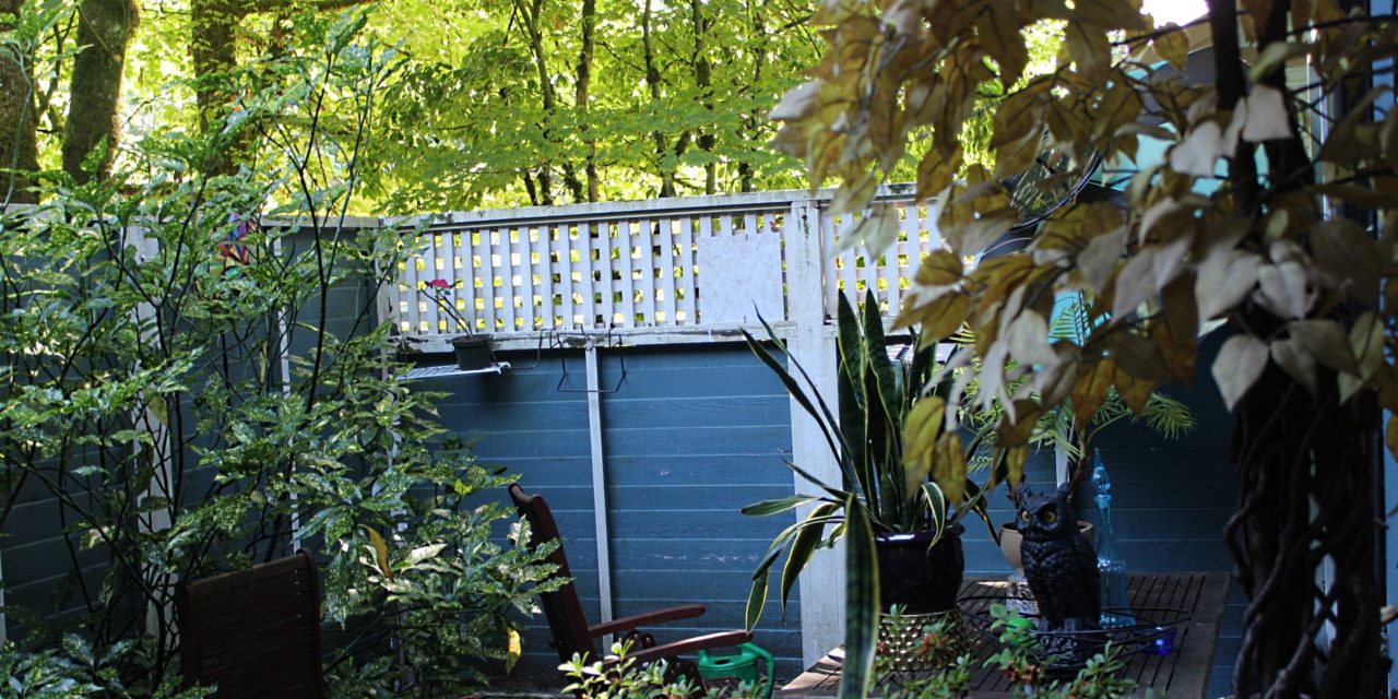 What’s in Your Backyard? And What can you do about it?